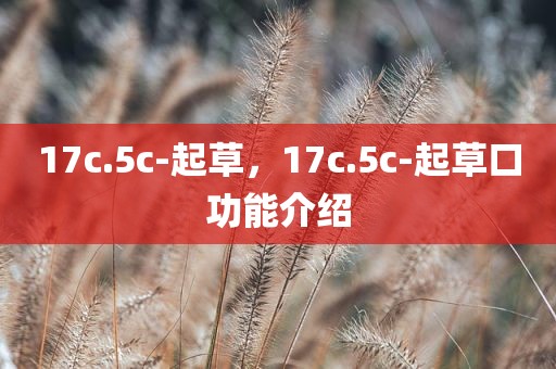 17c.5c-起草，17c.5c-起草口功能介绍