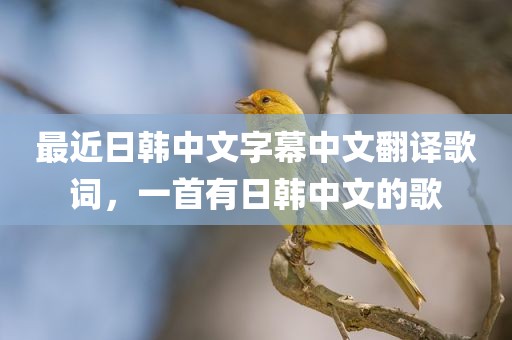 最近日韩中文字幕中文翻译歌词，一首有日韩中文的歌