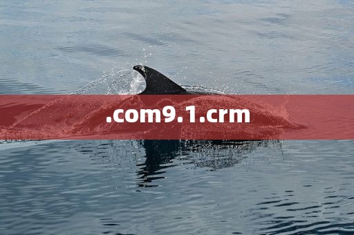 .com9.1.crm