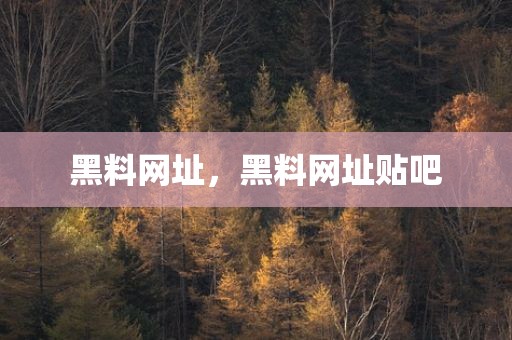 黑料网址，黑料网址贴吧