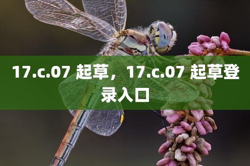 17.c.07 起草，17.c.07 起草登录入口