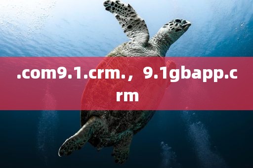 .com9.1.crm.，9.1gbapp.crm
