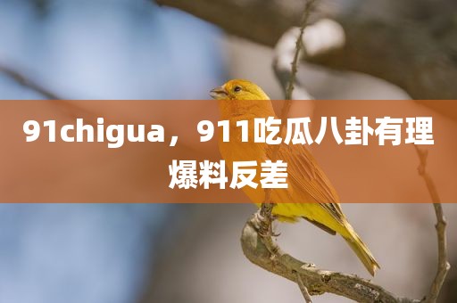 91chigua，911吃瓜八卦有理爆料反差