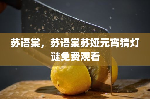 苏语棠，苏语棠苏娅元宵猜灯谜免费观看