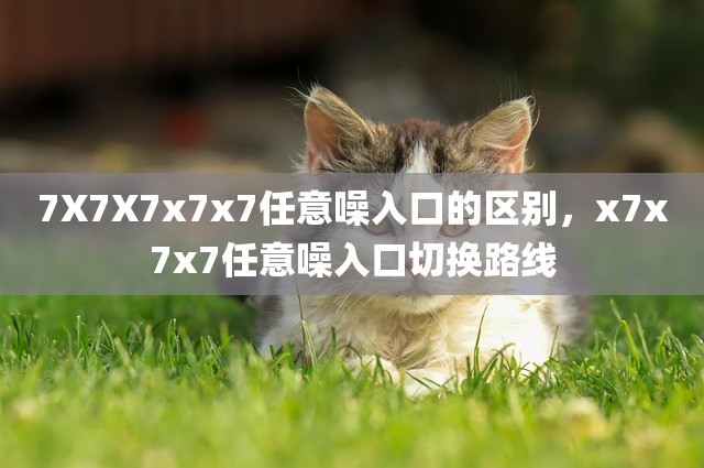 7X7X7x7x7任意噪入口的区别，x7x7x7任意噪入口切换路线