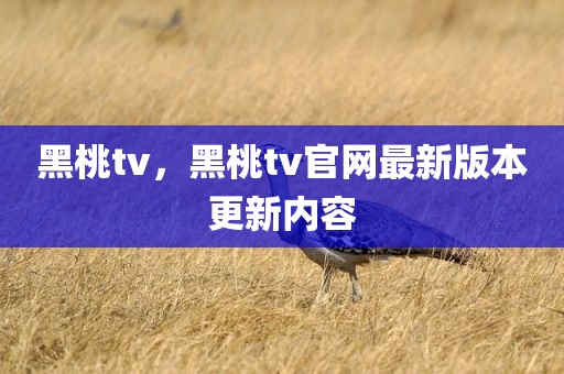 黑桃tv，黑桃tv官网最新版本更新内容