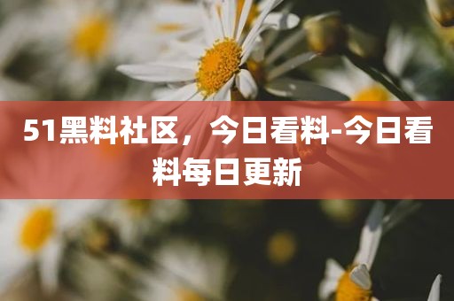51黑料社区，今日看料-今日看料每日更新
