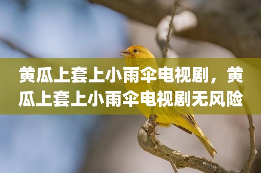 黄瓜上套上小雨伞电视剧，黄瓜上套上小雨伞电视剧无风险
