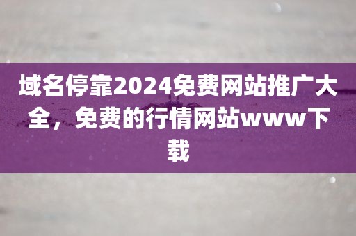 域名停靠2024免费网站推广大全，免费的行情网站www下载