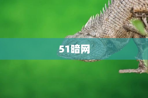 51暗网