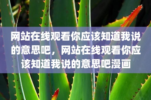 网站在线观看你应该知道我说的意思吧，网站在线观看你应该知道我说的意思吧漫画