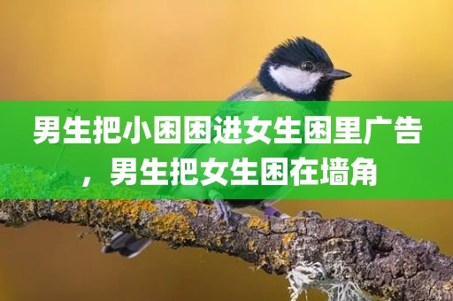 男生把小困困进女生困里广告，男生把女生困在墙角