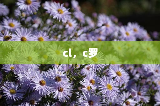 cl，c罗
