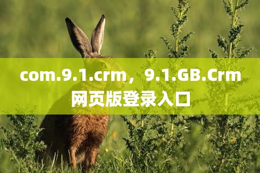 com.9.1.crm，9.1.GB.Crm网页版登录入口