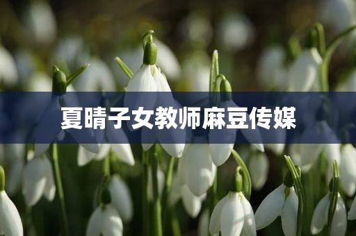 夏晴子女教师麻豆传媒