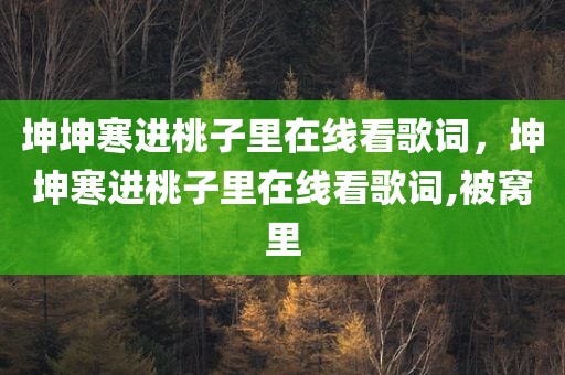 坤坤寒进桃子里在线看歌词，坤坤寒进桃子里在线看歌词,被窝里