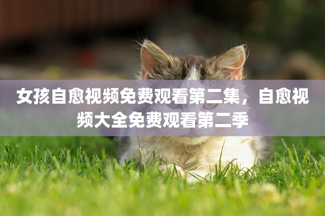 女孩自愈视频免费观看第二集，自愈视频大全免费观看第二季