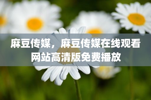 麻豆传媒，麻豆传媒在线观看网站高清版免费播放
