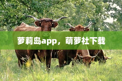 萝莉岛app，萌萝社下载