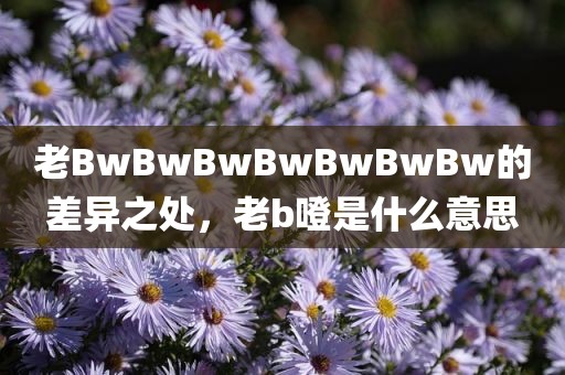老BwBwBwBwBwBwBw的差异之处，老b噔是什么意思