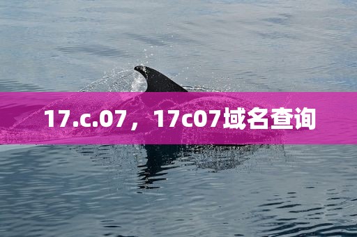 17.c.07，17c07域名查询