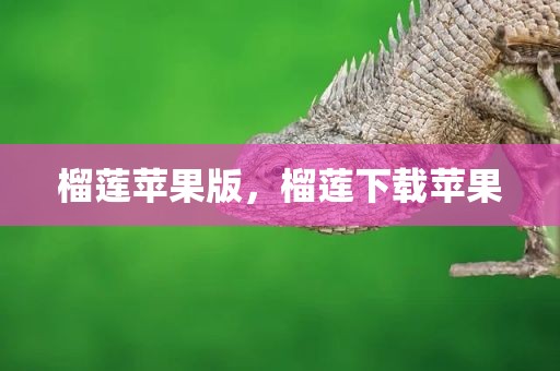 榴莲苹果版，榴莲下载苹果