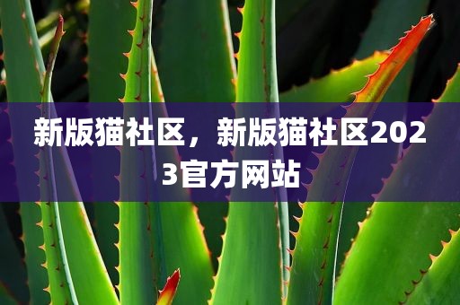 新版猫社区，新版猫社区2023官方网站