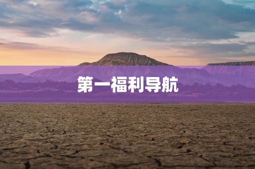 第一福利导航