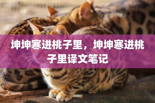 坤坤寒进桃子里，坤坤寒进桃子里译文笔记