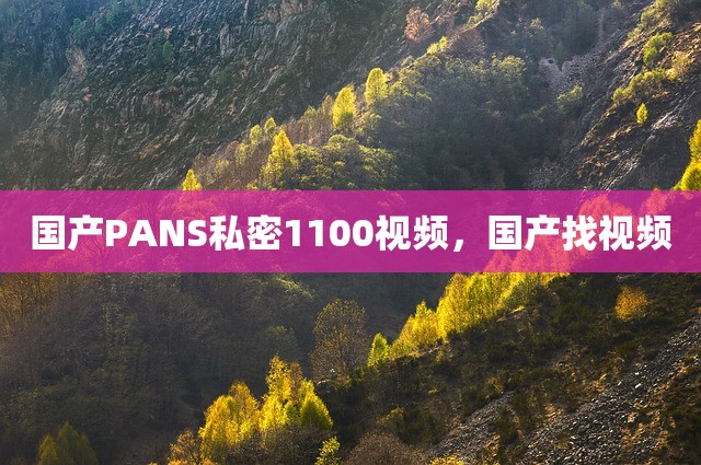 国产PANS私密1100视频，国产找视频