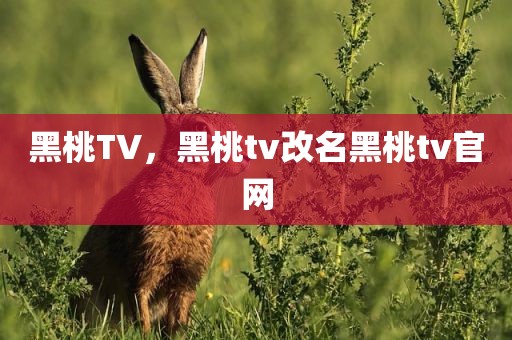 黑桃TV，黑桃tv改名黑桃tv官网