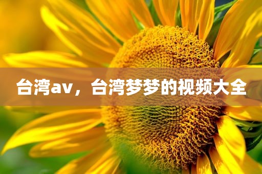台湾av，台湾梦梦的视频大全