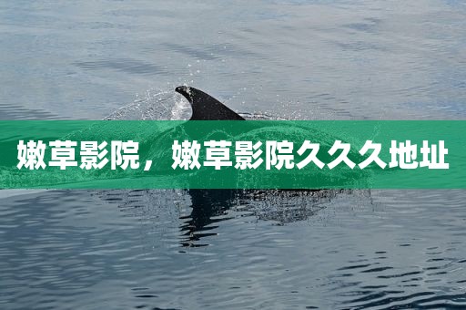 嫩草影院，嫩草影院久久久地址