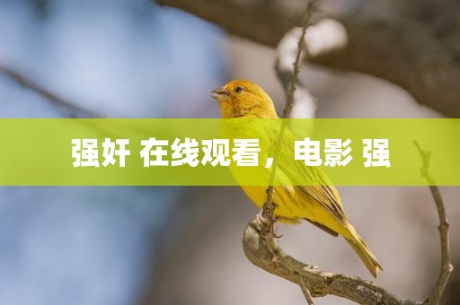 强奸 在线观看，电影 强