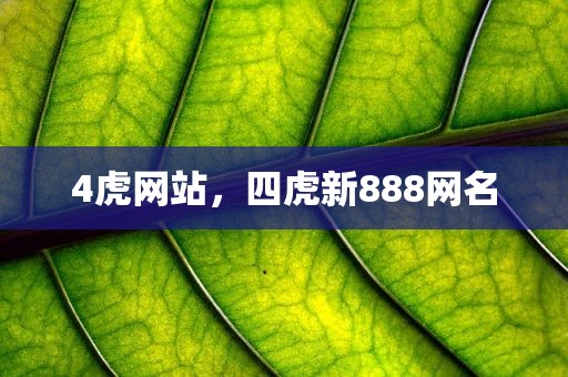 4虎网站，四虎新888网名
