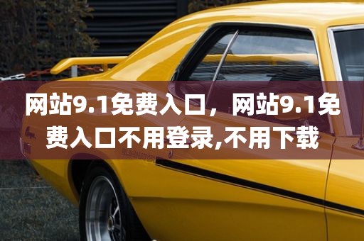 网站9.1免费入口，网站9.1免费入口不用登录,不用下载
