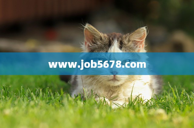 www.job5678.com