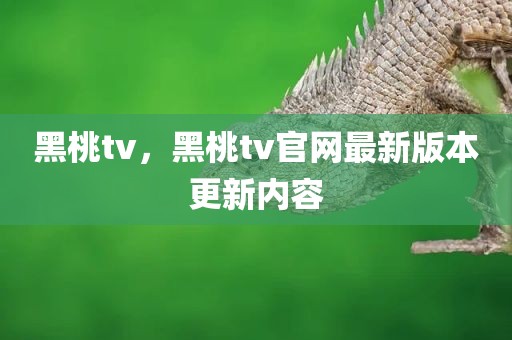 黑桃tv，黑桃tv官网最新版本更新内容