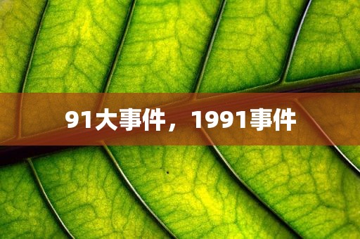 91大事件，1991事件