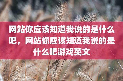 网站你应该知道我说的是什么吧，网站你应该知道我说的是什么吧游戏英文