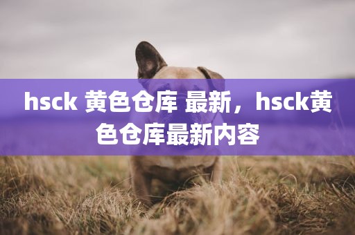 hsck 黄色仓库 最新，hsck黄色仓库最新内容