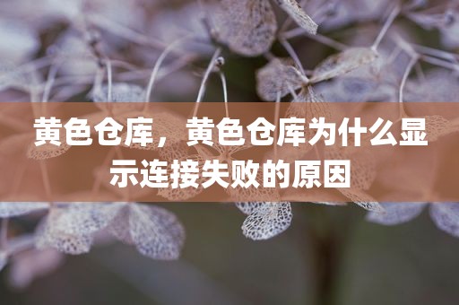 黄色仓库，黄色仓库为什么显示连接失败的原因