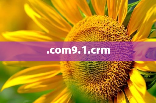 .com9.1.crm