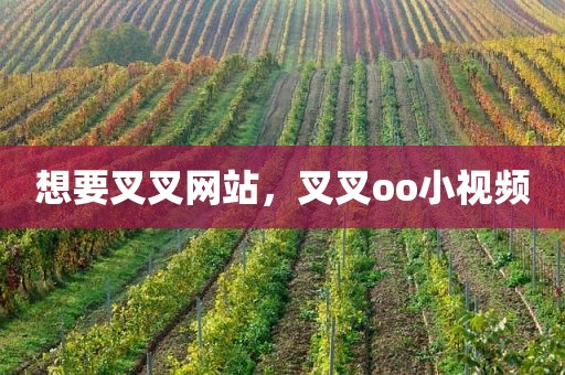 想要叉叉网站，叉叉oo小视频