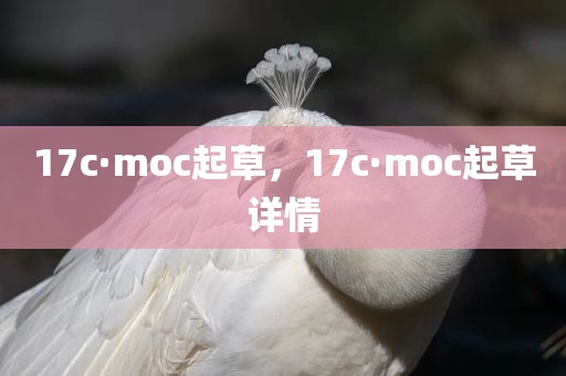 17c·moc起草，17c·moc起草详情
