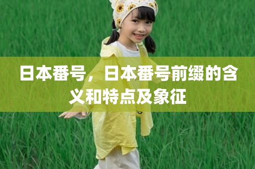 日本番号，日本番号前缀的含义和特点及象征