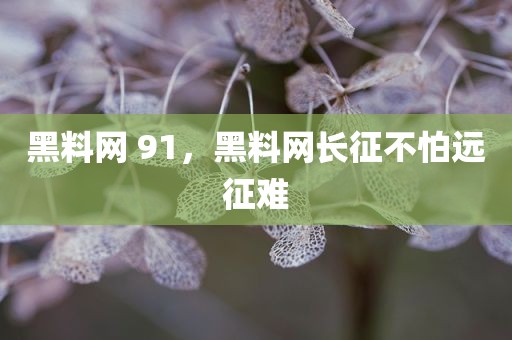 黑料网 91，黑料网长征不怕远征难