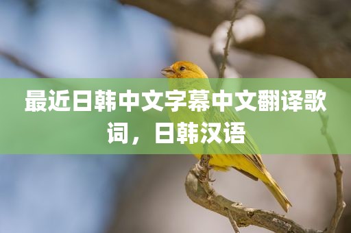最近日韩中文字幕中文翻译歌词，日韩汉语