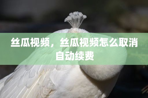 丝瓜视频，丝瓜视频怎么取消自动续费