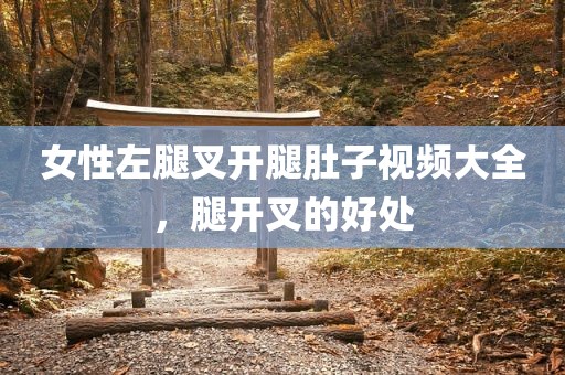 女性左腿叉开腿肚子视频大全，腿开叉的好处